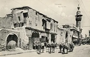 Donkeys: Street in Damascus, Syria