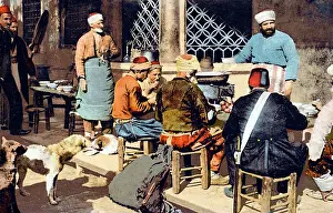 Ambulant: Street Dogs - Constantinople, Turkey