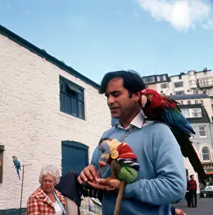 Brixham: Street entertainer with Macaw and Puppet, Brixham, Devon