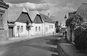 Bushes: Street in Grinzing in Vienna, 1938