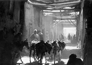 Donkeys: Street in Kabul, 1939