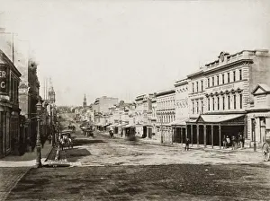 Avenues: Street in Melbourne