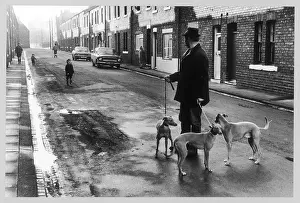 Whippets: STREET SCENE/MAYNE/1972