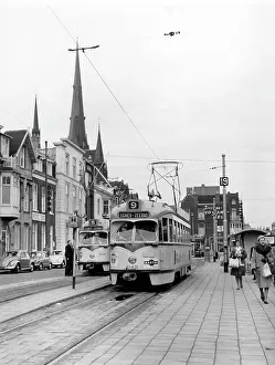 Haag: Street scene with trams, The Hague, Netherlands