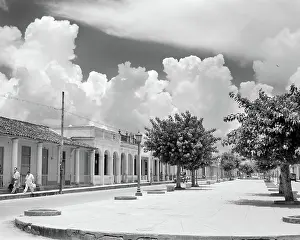 Pinar: Street Scene with Trees in the Central Boulevard of Pin