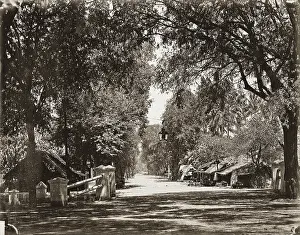 Saida: Street in Surakarta