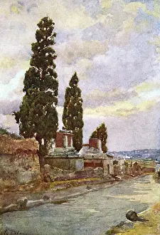 Poplars: STREET OF TOMBS -POMPEII