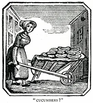 Cucumbers: Street trade - cucumbers