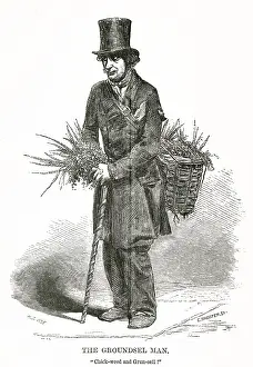 Groundsel: Street trader - plants and herbs 1850s