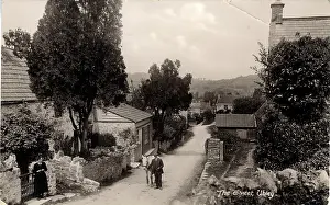 Blagdon: The Street, Ubley, Blagdon, England