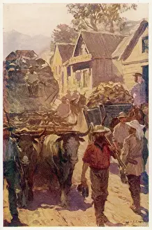 Bendigo: Streets of Bendigo, Australia, during the Gold Rush