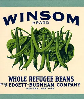 Vegtable: String Bean Label