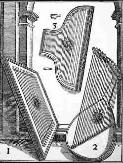 Stringed: Stringed instruments of the 15th and 16th century