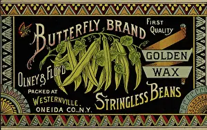 Vegtable: Stringless Beans Label