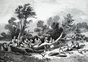 Sulphate: Stripping bark from oak trees