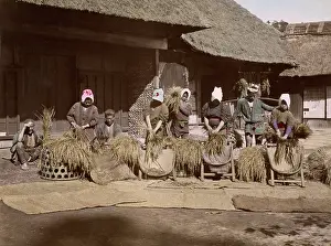 Stripping: Stripping rice, Japan