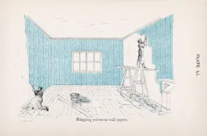 Stripping: STRIPPING WALLPAPER