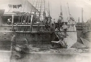 Exposing: STRIPPING WHALE BLUBBER