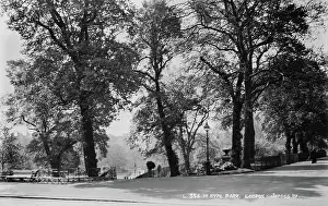 A Stroll in Hyde Park