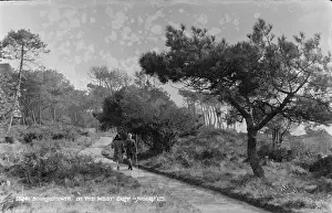 Bournemouth: Stroll on the West Cliff