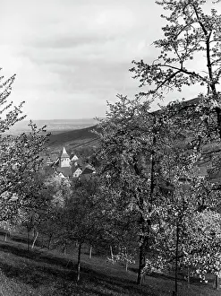 Orchard: Struempfelbach in the Rems Valley, 1930s