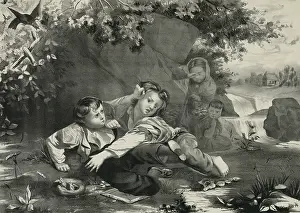 C1873: The struggle for the nest
