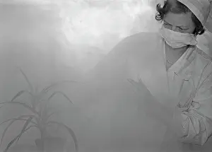 Virology: Struggle against tick-borne encephalitis