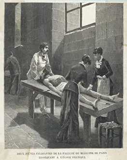 Dissect: STUDENTS DISSECTING 1880