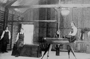 Bpeosa: Students in gym with horse, box and ropes