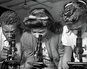 Microscopes: Students - Science - Education - Bethune-Cookman College
