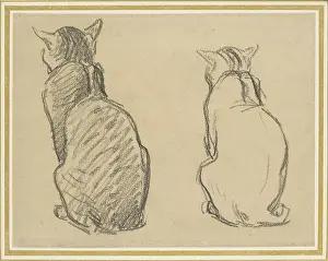 Two Studies of a Cat