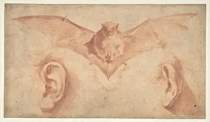 Semper: Studies of Two Ears and of a Bat. Below, the motto: