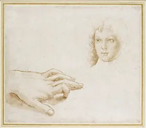 Vannucci: Studies of a Head and a Hand