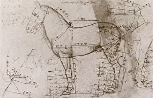 Measurements: Studies: Horses, a Cat, and St George and the Dragon