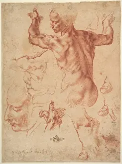Lcgrfa1710: STUDIES FOR THE LIBYAN SIBYL, by Michelangelo, 1510?11