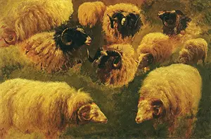 Bonheur: Studies of Ram