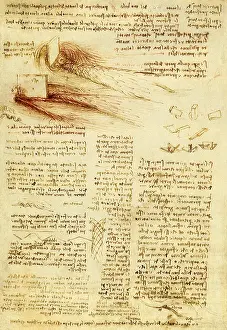 1494: Studies of Water impeded by an Obstacle, by da Vinci
