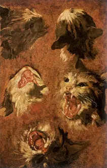 1670: Studies of a Wild Cat