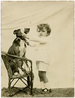 Socks: Studio photo, boy putting blindfold on dog