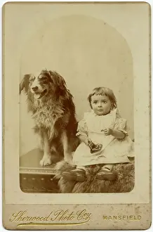 Shaggy: Studio portrait, boy with dog