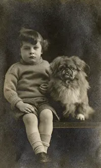 Pekes: Studio portrait, boy with Pekingese dog