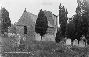 Wildflowers: Studland Church