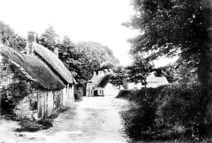 Studland: Studland, New Inn 1890
