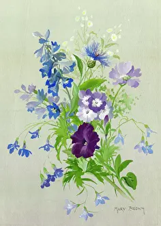 Petunia: Study in blue with petunia, cornflower, larkspur etc