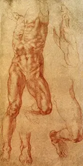 Haman: Study for The Death of Haman, by Michelangelo