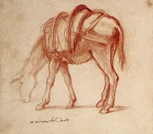 1520s: Study of a Donkey Grazing, by Andrea del Sarto