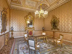 Correr: Study of the Emperor, Royal Palace, Venice, Italy