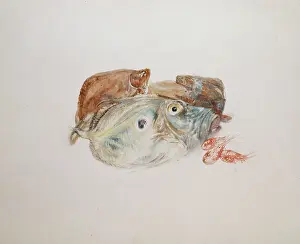 Wove: Study of Fish