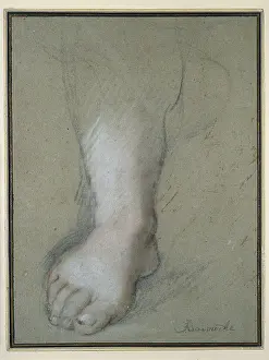 Toenail: Study of a Foot
