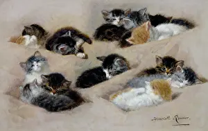 Ronner: A Study of Kittens